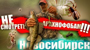 ПРИЕХАЛ РАНО УТРОМ НА РЫБАЛКУ И НЕ ПРОГАДАЛ / РЫБАЛКА НА СУДАКА В НОВОСИБИРСКЕ.