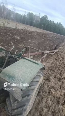 Т-150К впервые вспахивает целину проекта ГЕКТАР🔥вводим в оборот землю, надеемся на успех!