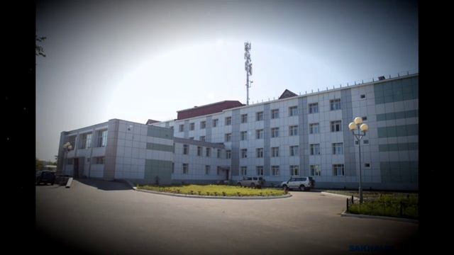 Поменяйтесадовника. Охинцы запустили челлендж