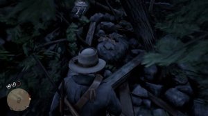 RDR-2 | Домик с упавшим деревом