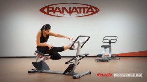 Panatta Sport   Stretching Extensor Bench ITA