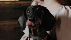 Любовь , Коктейли и Жизнь