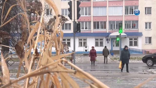 Особенности голосования по изменениям в Конституции