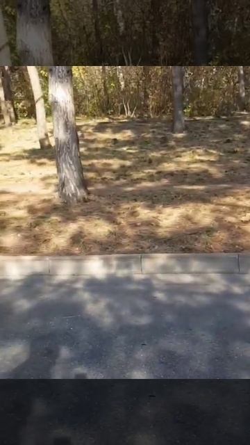 Пешеходы и машины не могут поделить Машук смотреть онлайн