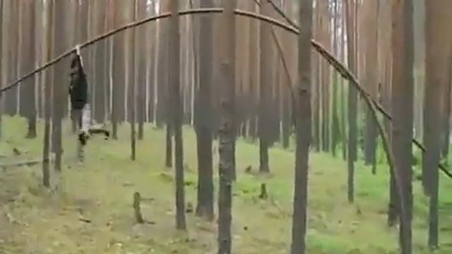 снежный дурень смотреть онлайн