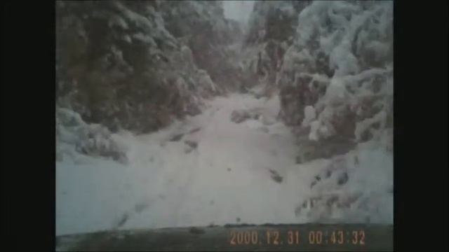 В сказочном лесу смотреть онлайн