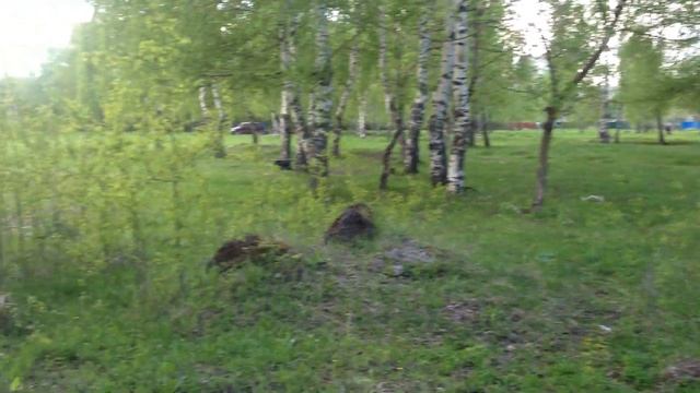 Как перестать быть трусом смотреть онлайн