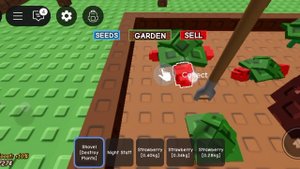 открываем паки с семенами из ежедневных квестов