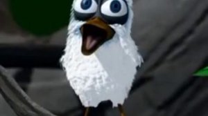 Прикол птичка говорит Салам Алейкум