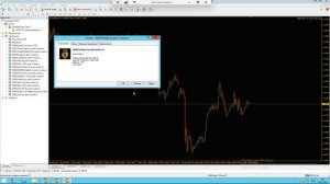 Установка торгового робота WSB Energy by puls-invest.ru