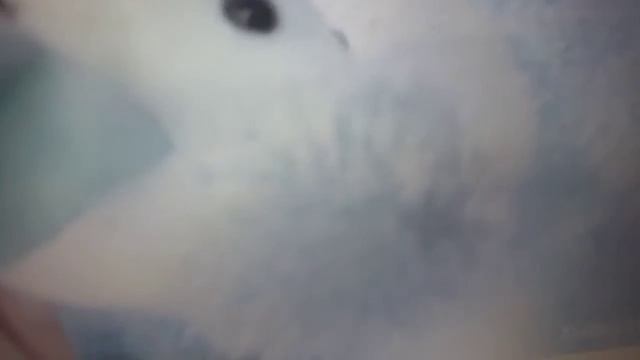 то что ты не замечаешь при первом просмотре 13 часть