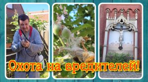 VLOG из 🇩🇪: Охота на вредителей!