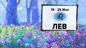 ЛЕВ ♌ 19 - 25 Мая 2025 | Расклад таро на неделю для знака Зодиака Лев