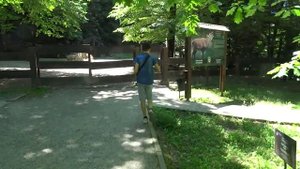 Гузерипль. Кавказский заповедник. Адыгея