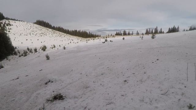 Зимова прогулянка на Ротило