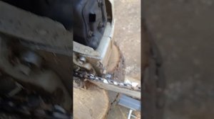 STIHL MS290 штиль мс 290