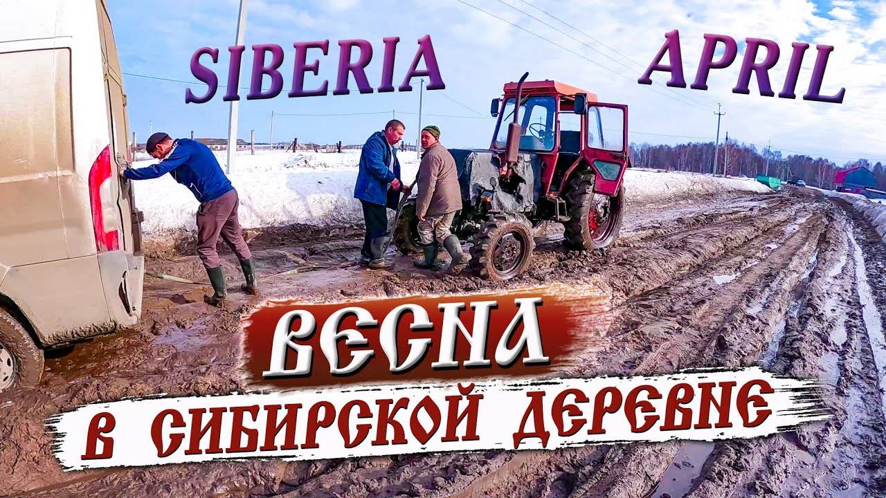 420. Жёсткая распутица и неповторимая красота Сибирской деревни. Деревня Окунево Омская область.