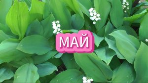5. Календарь дачника. Май