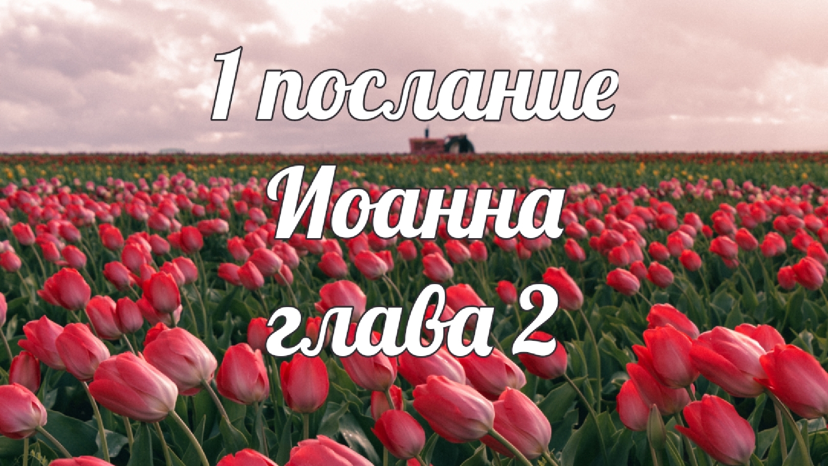 https://rutube.ru/video/88d1532d0ec9e491e51efa1b4c4293cc/