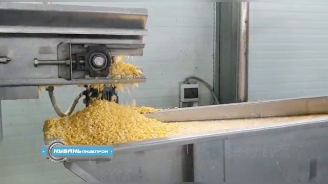 Линия переработки кукурузы 2.0 / ООО 
