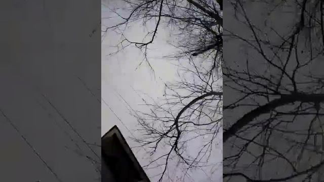 Влог #9 смотреть онлайн