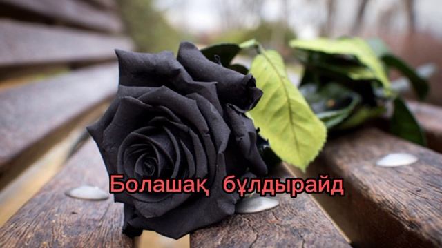 Қураған гүл 🥀 (Ремикс-Караоке) 2022Хит смотреть онлайн
