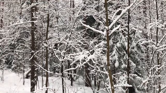 Вышла из декрета на работу и решила найти замену мужу. Интересные истории из жизни. Аудио рассказы смотреть онлайн