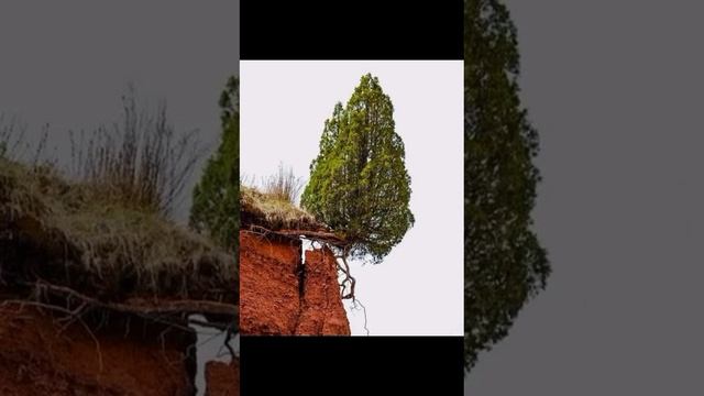 никогда не теряй веру в себя смотреть онлайн