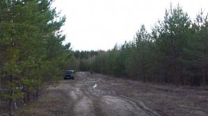 ВЕСНА. НАГОНКА. ЗАЯЦ.Русская гончая Аргон ВПКОС 6351/22 вл. Шатров В.А.#охотасгончей#топ #hunting