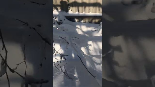 Снег в Кореновске смотреть онлайн