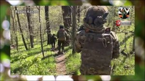 Туман войны.  В Кременских лесах идут адские бои с нацистами