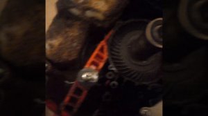 ремонт электропилы carver