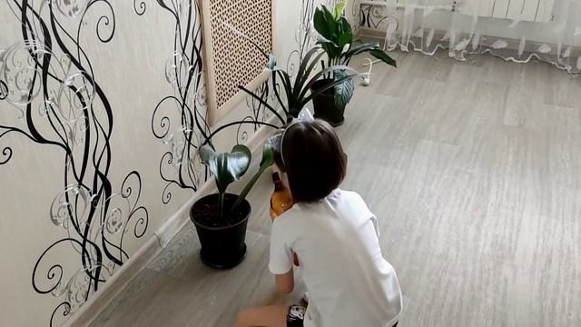 Воскресенье смотреть онлайн