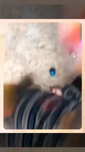 Потерял ботинок( (Created with @Magisto) смотреть онлайн