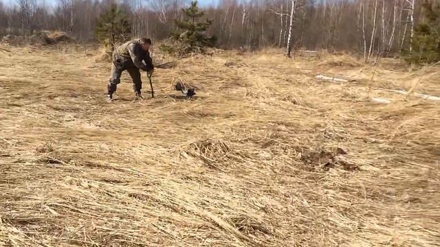 Лесные Копатели "СНЕГ ПОЧТИ РАСТАЯЛ" смотреть онлайн