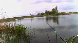 Вся пойманная рыба отпущена в свою стихию.