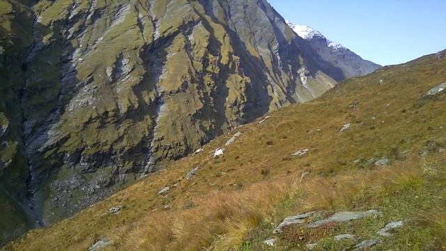 Пик Паталсу смотреть онлайн