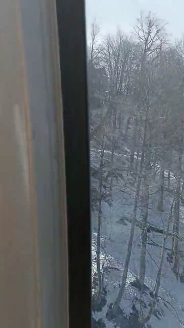 3 июня 2024 г. смотреть онлайн