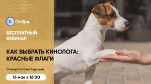 Бесплатный вебинар: "Как выбрать кинолога и распознать красные флаги?"