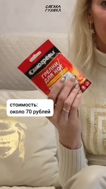 ЛАЙФХАК: как гулять с собакой комфортно ВСЕГО за 70 рублей?🤔 смотреть онлайн