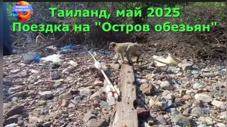 Поездка на Остров Обезьян, Таиланд. Май 2025 года