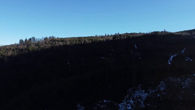 Синевирська поляна Карпати