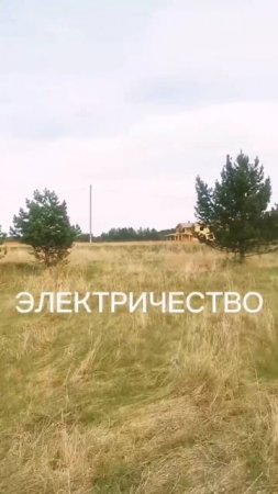Давыдово видео