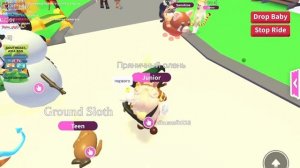 КАК УКРАСТЬ ПЕТА В adopt me