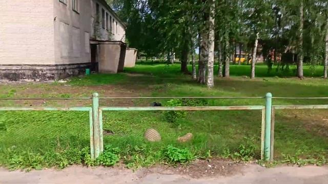 Село Новоселье, лето 2024 смотреть онлайн