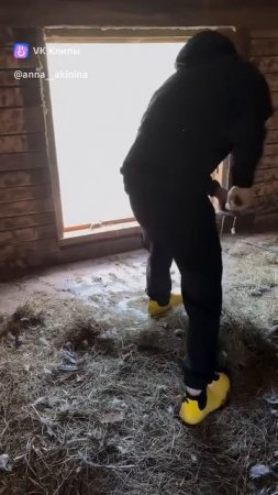 МОСКВИЧ ЖЕНИЛСЯ НА ДЕРЕВЕНСКОЙ ДЕВУШКЕ И ЧИСТИТ