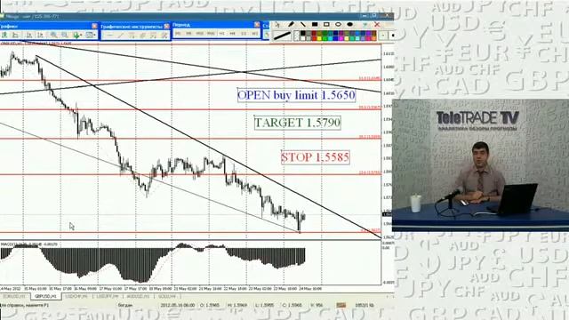 Терзи_Фундамент и торговые идеи.2012-05-24_3 смотреть онлайн