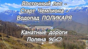 ВОСТОЧНЫЙ ЛЕС - СТАРТ ЧЕМПИОНА - ВОДОПАД ПОЛИКАРЯ || КАНАТНАЯ ДОРОГА || ПОЛЯНА 960.СОЧИ. АПРЕЛЬ 2025