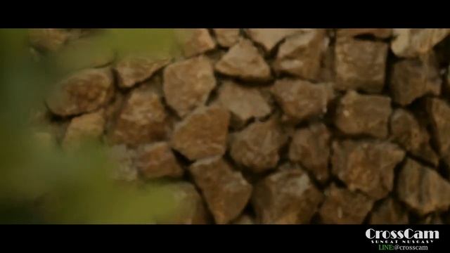 Братья Шахунц-ДЕВОЧКА NEW 2015