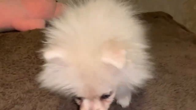 После купания. смотреть онлайн